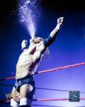 D-Generation X